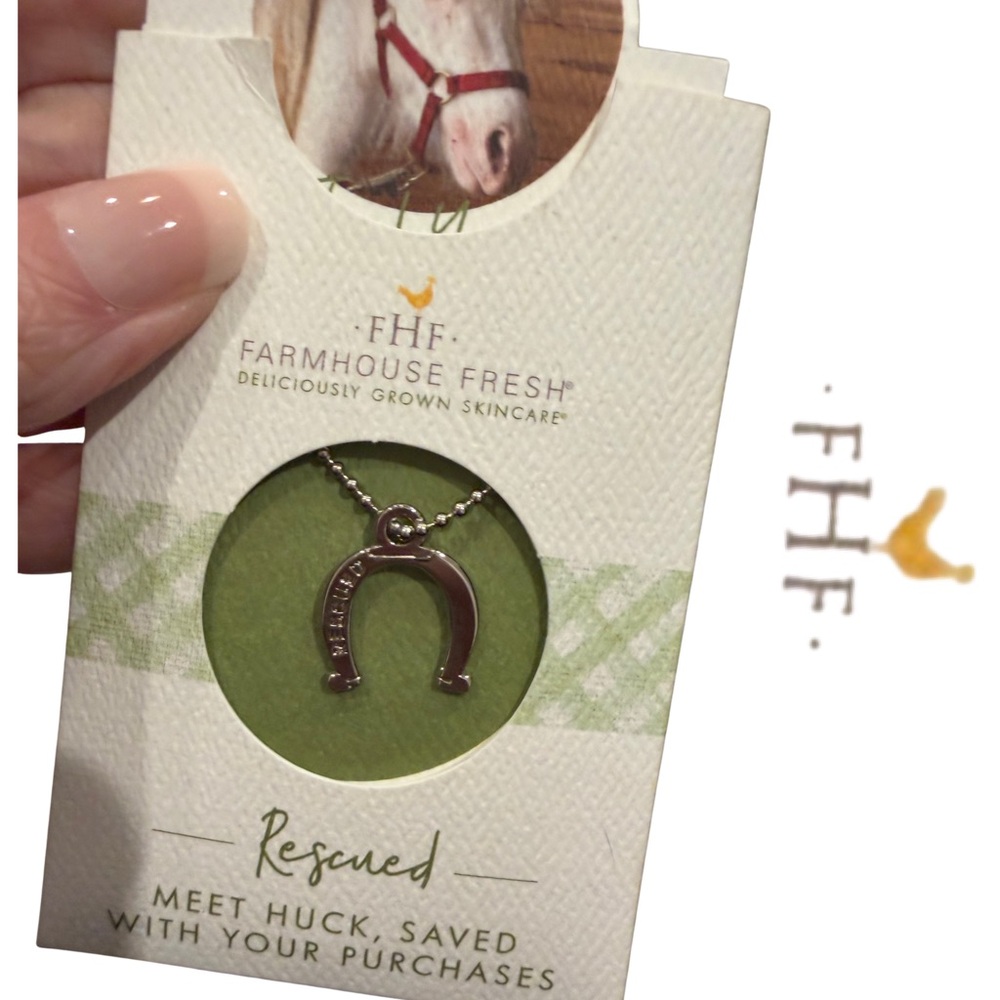 FHF | Silver Tone Horseshoe Necklace on Ball Chain | “Rescued” | Collectible